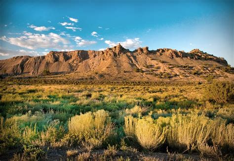 Chaparral New Mexico .